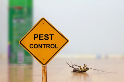 Pest Contol in Harold Wood, Harold Hill, Noak Hill, RM3. Call Now 020 8166 9746